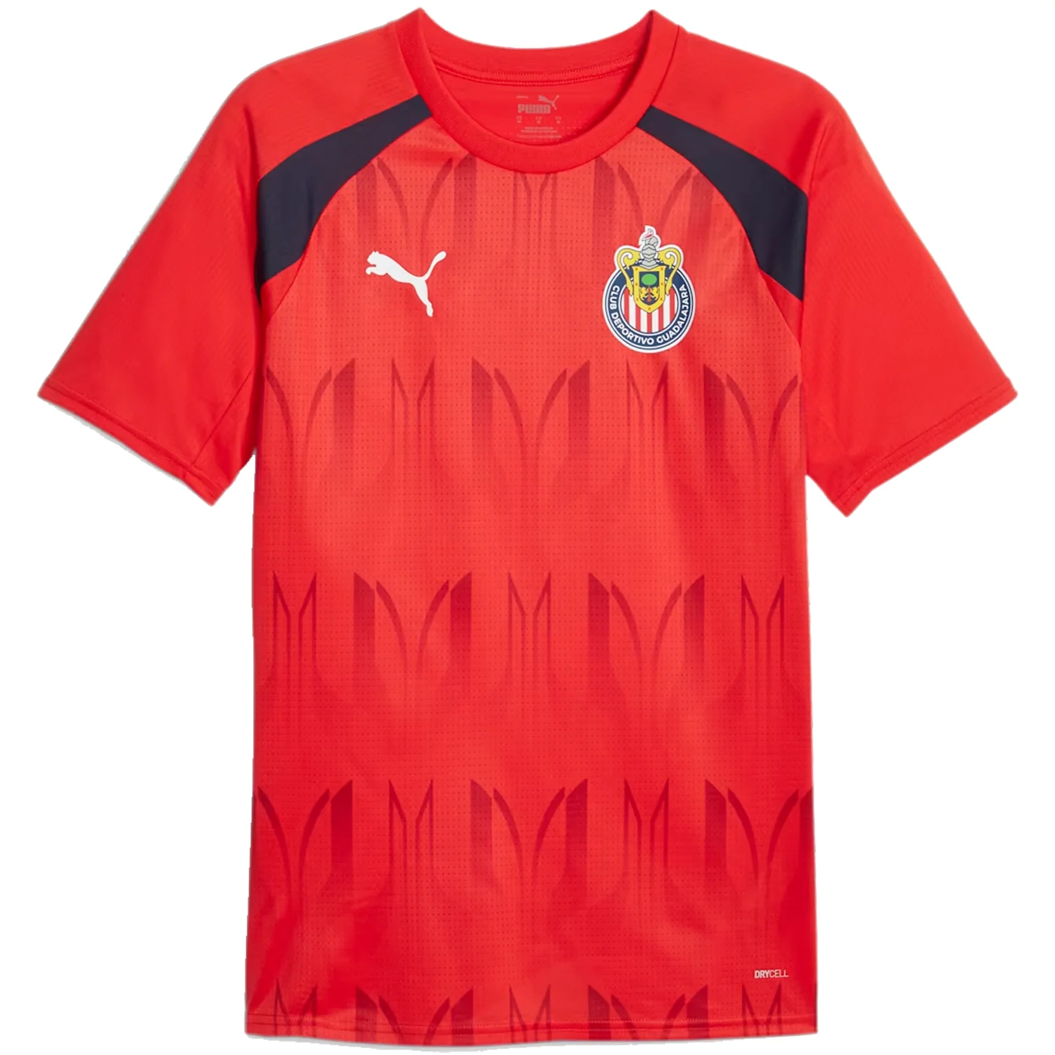 Puma Chivas 2023-24 Men's Pre-Match Top