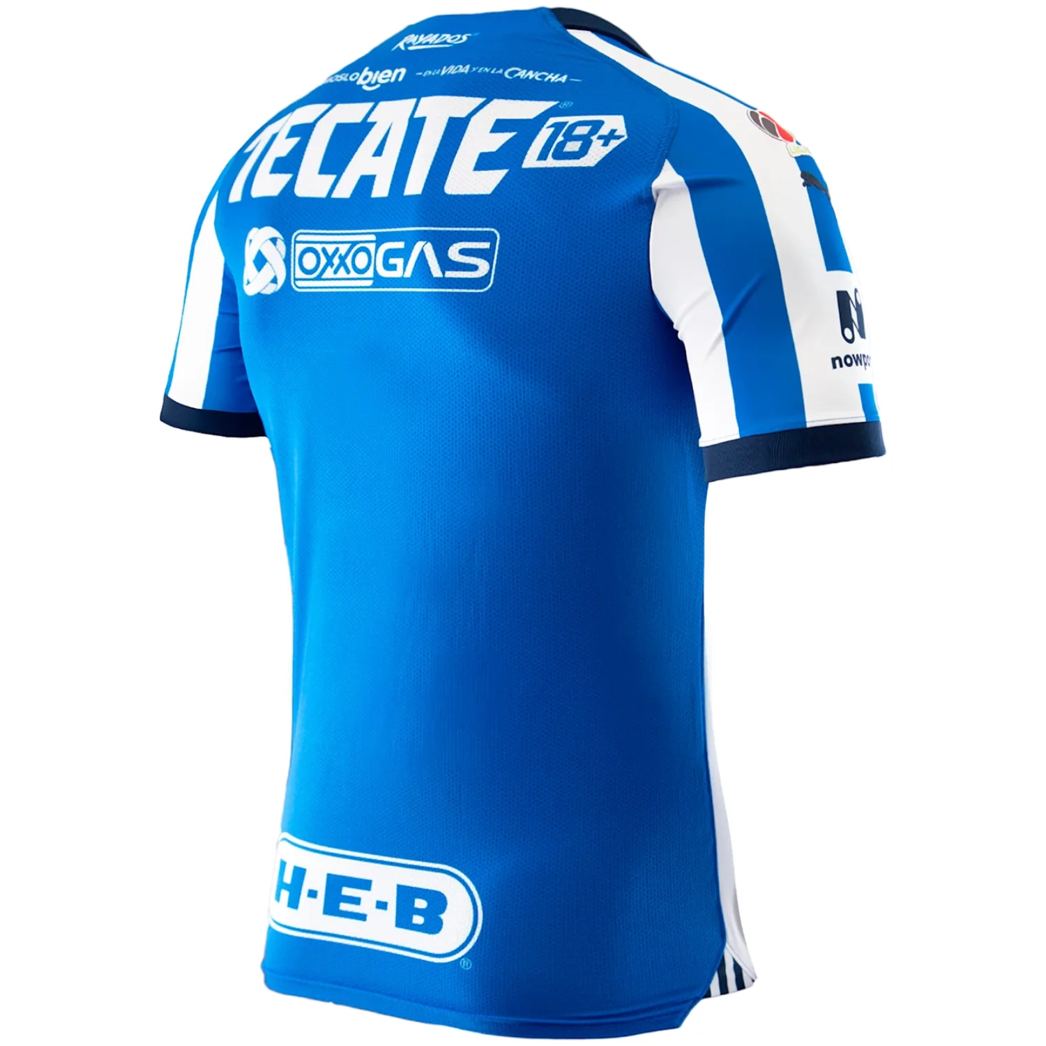 Puma Monterrey 2023-24 Men's Home Authentic Match Jersey - Image 3