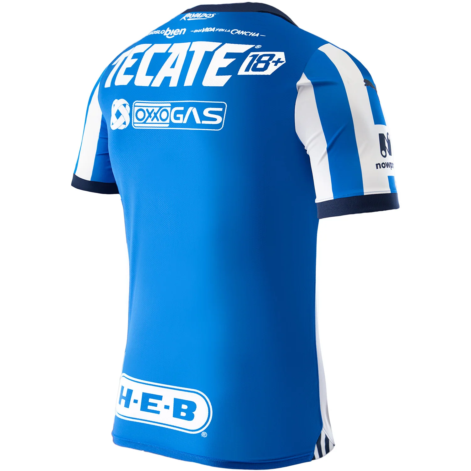 Puma Monterrey 2023-24 Men's Home Stadium Jersey - Image 3
